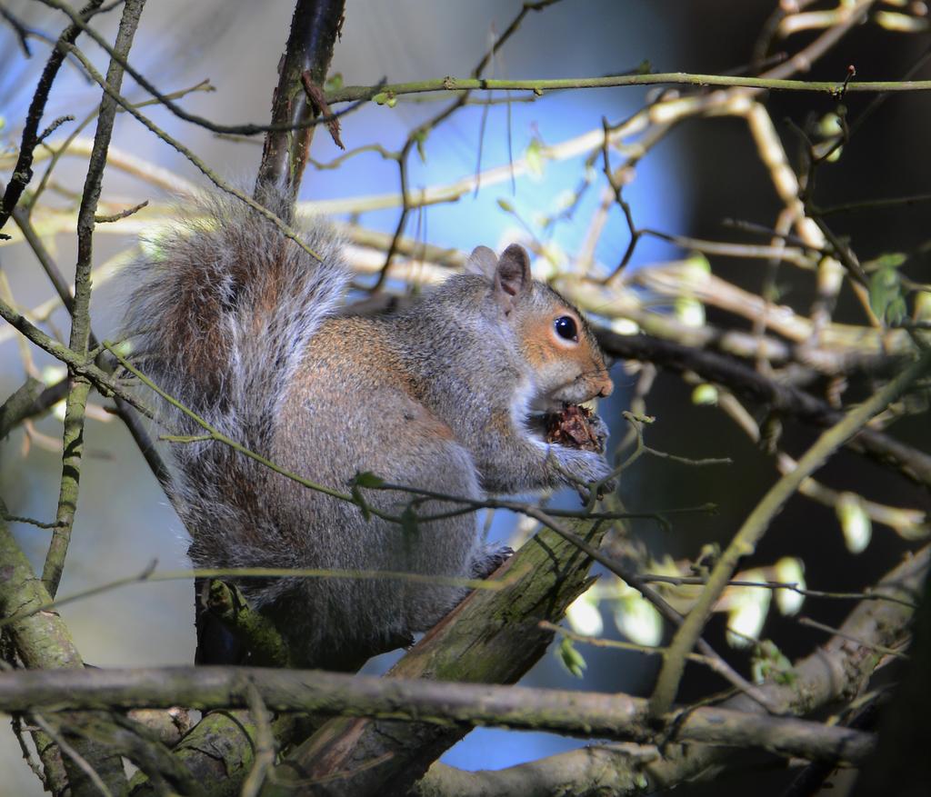 DSC_0218.jpg