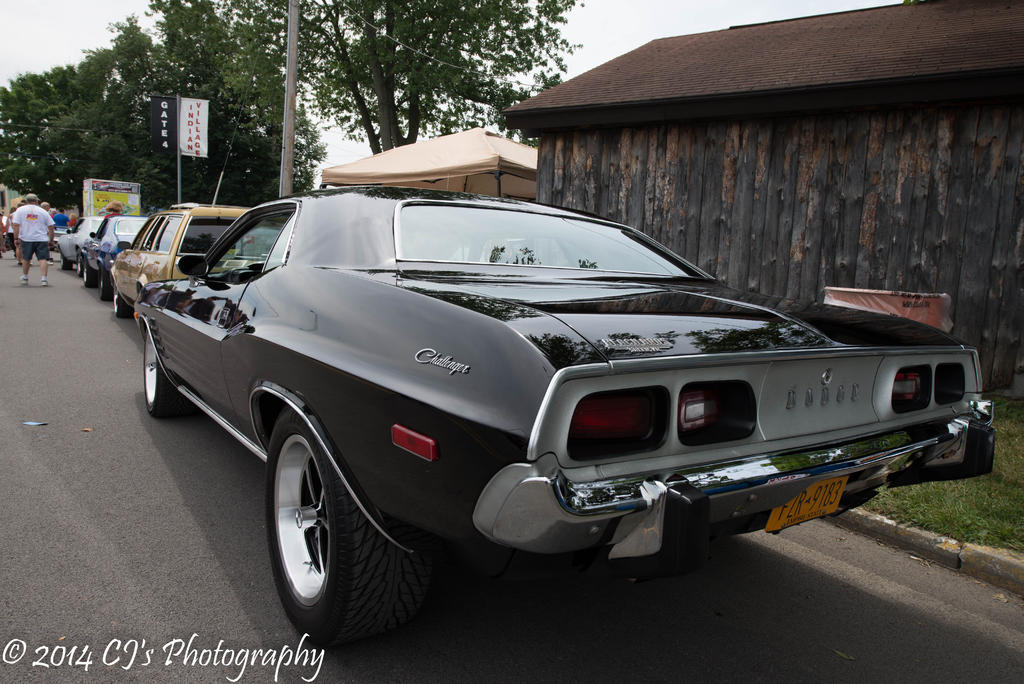 DSC_0220-2.jpg