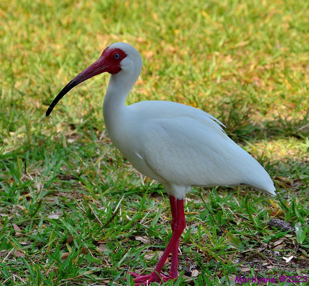 DSC_0220_001.JPG