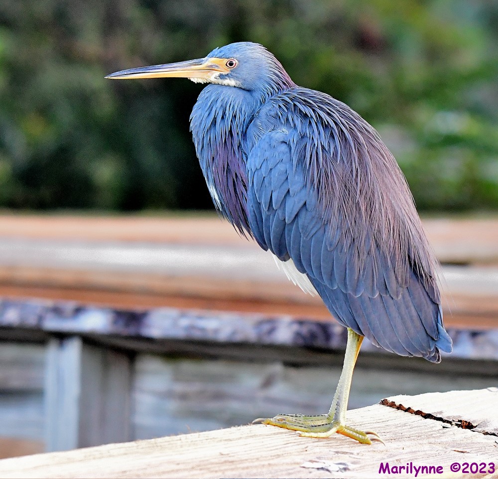 DSC_0220_001.JPG