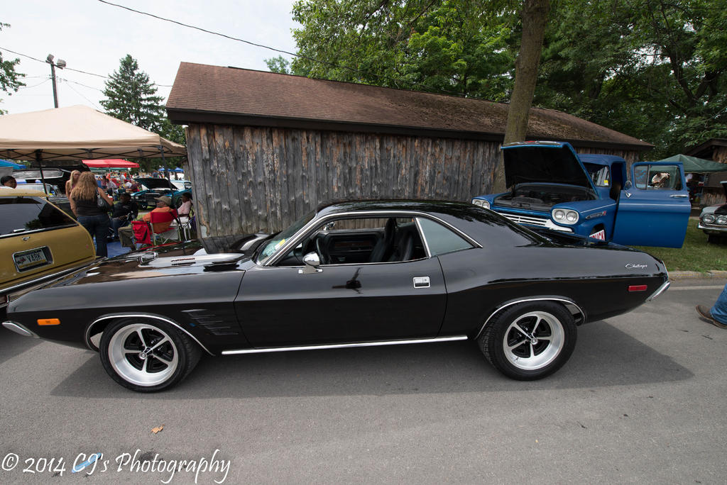 DSC_0221-2.jpg