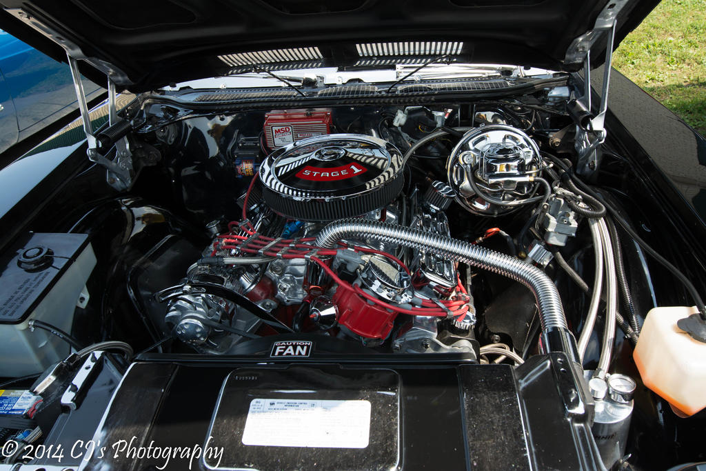DSC_0221.jpg