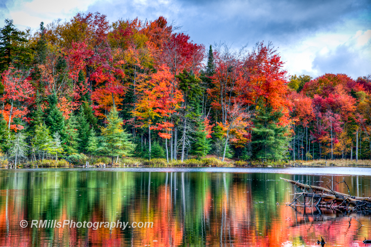 DSC_0221_3715_2_3716_3_3717_tonemapped.jpg