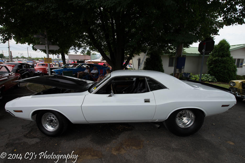 DSC_0222-2.jpg