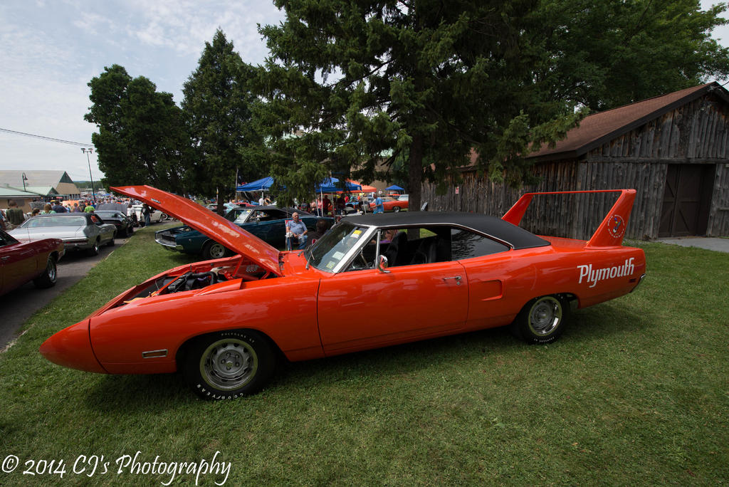 DSC_0223-2.jpg