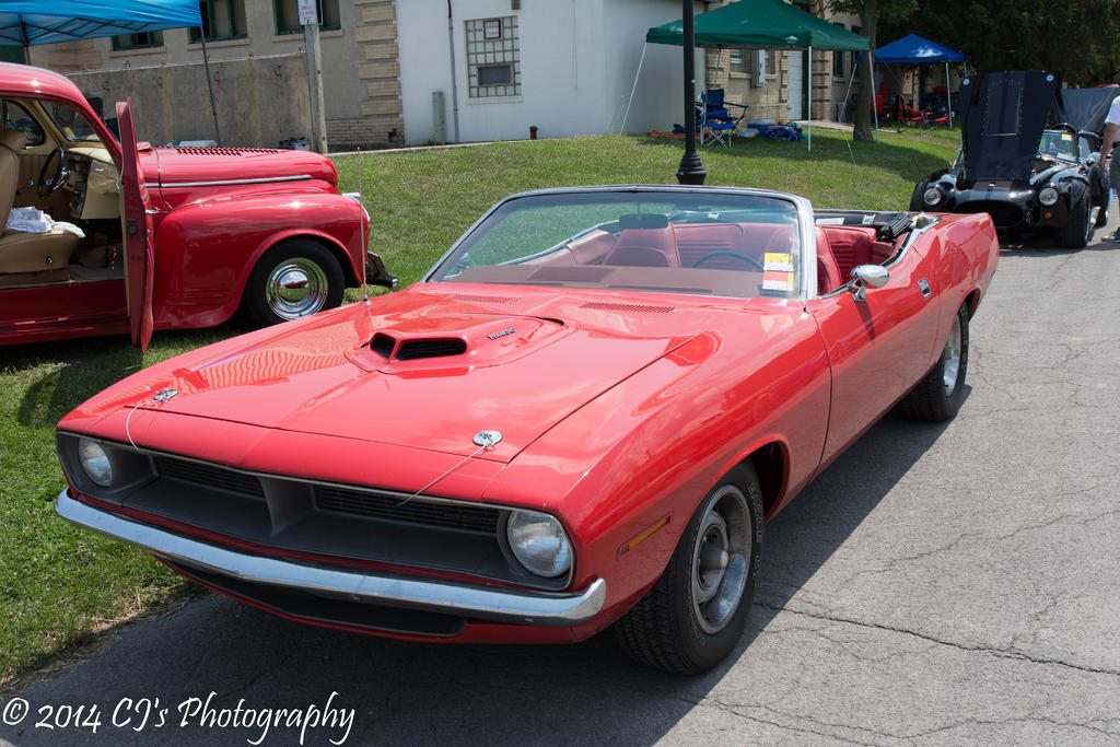 DSC_0224.jpg