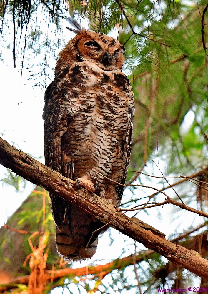 DSC_0225_001.JPG