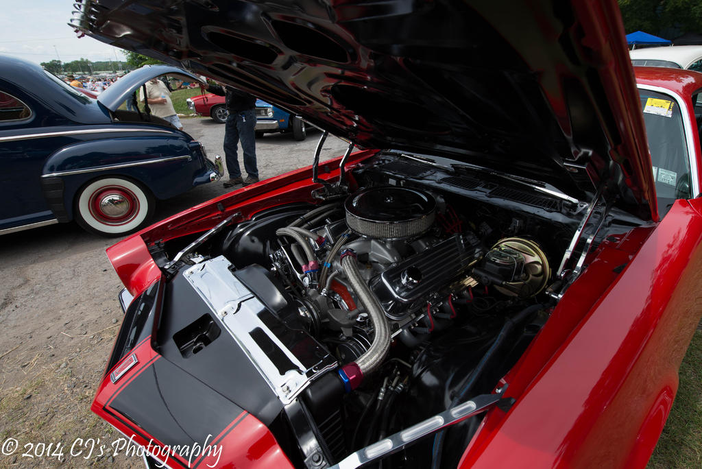 DSC_0226-2.jpg
