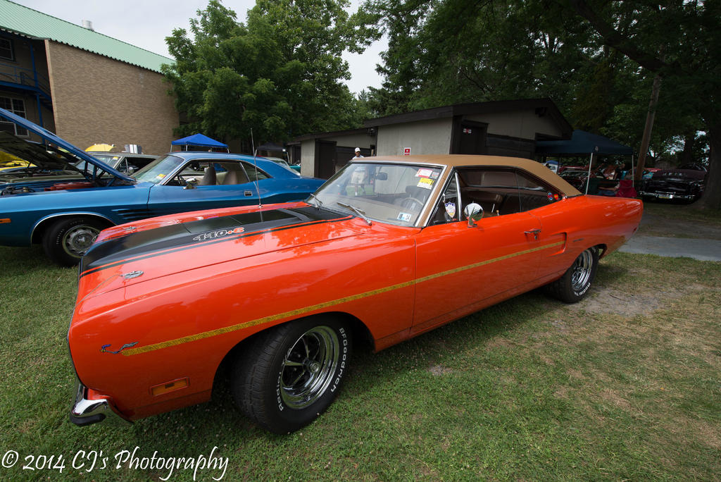 DSC_0227-2.jpg