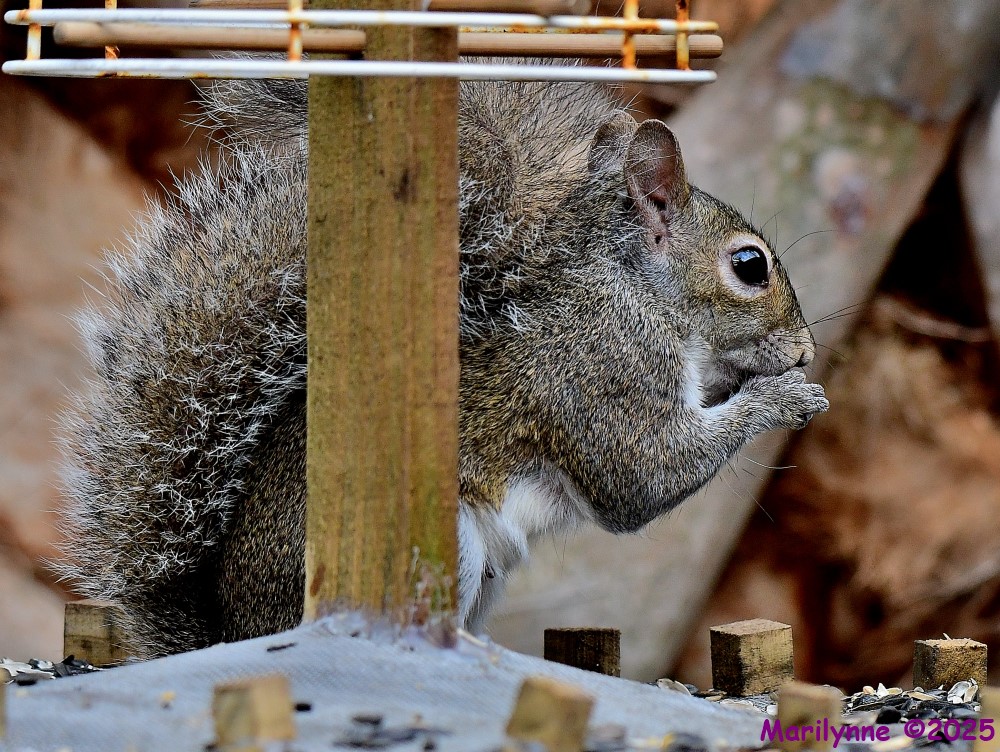 DSC_0227_001.JPG