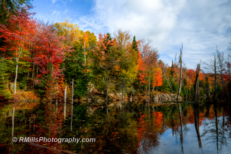 DSC_0227_3718_8_3719_9_3720_tonemapped-2.jpg