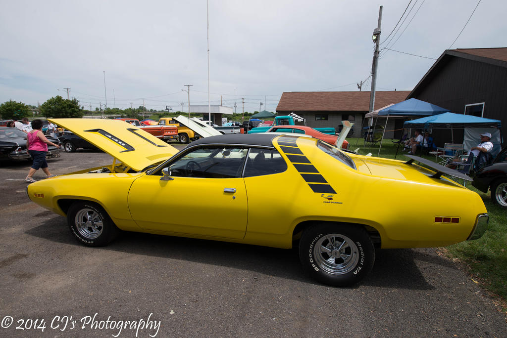 DSC_0228-2.jpg