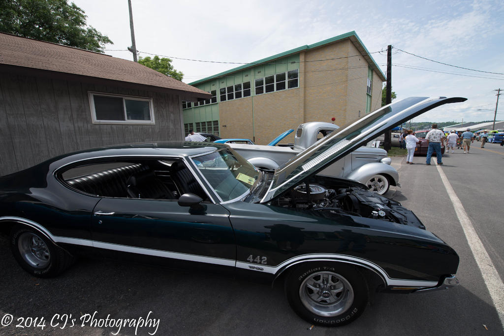 DSC_0230-2.jpg