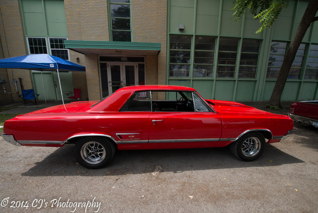 DSC_0232-2.jpg