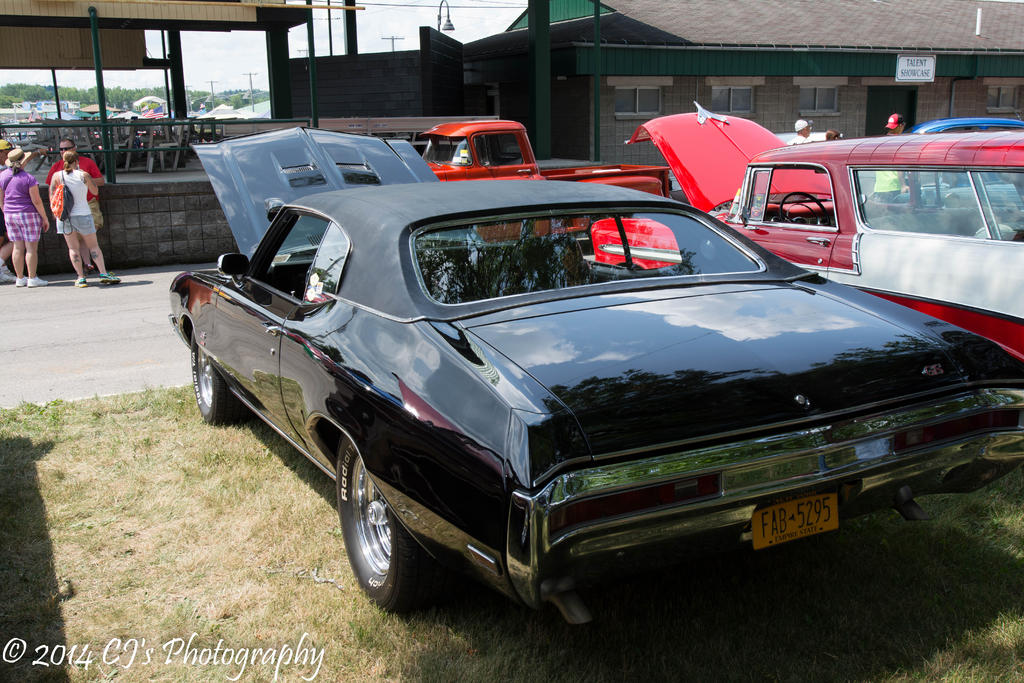 DSC_0233.jpg