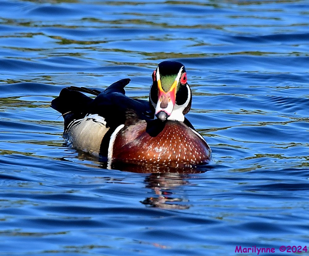 DSC_0234_001.JPG