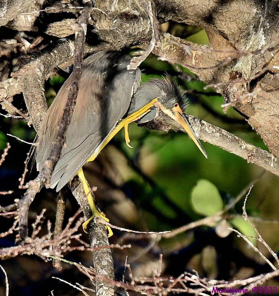 DSC_0235_001.JPG