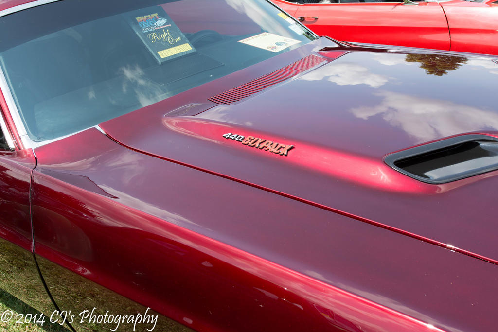 DSC_0237.jpg