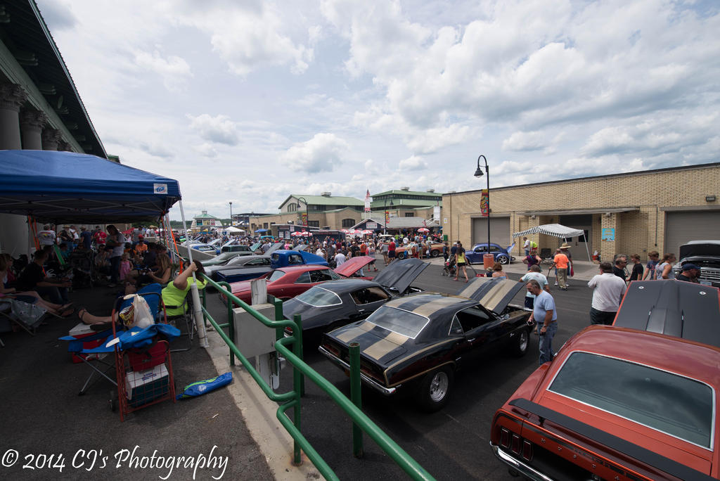 DSC_0238-2.jpg