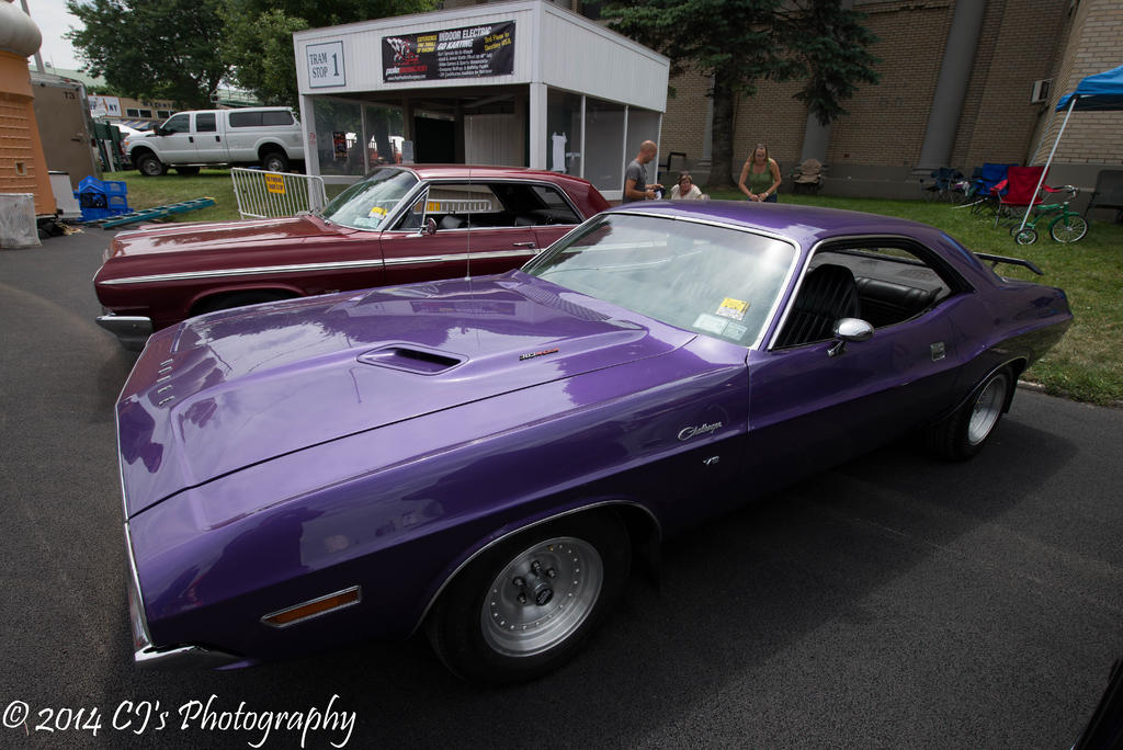 DSC_0239-2.jpg