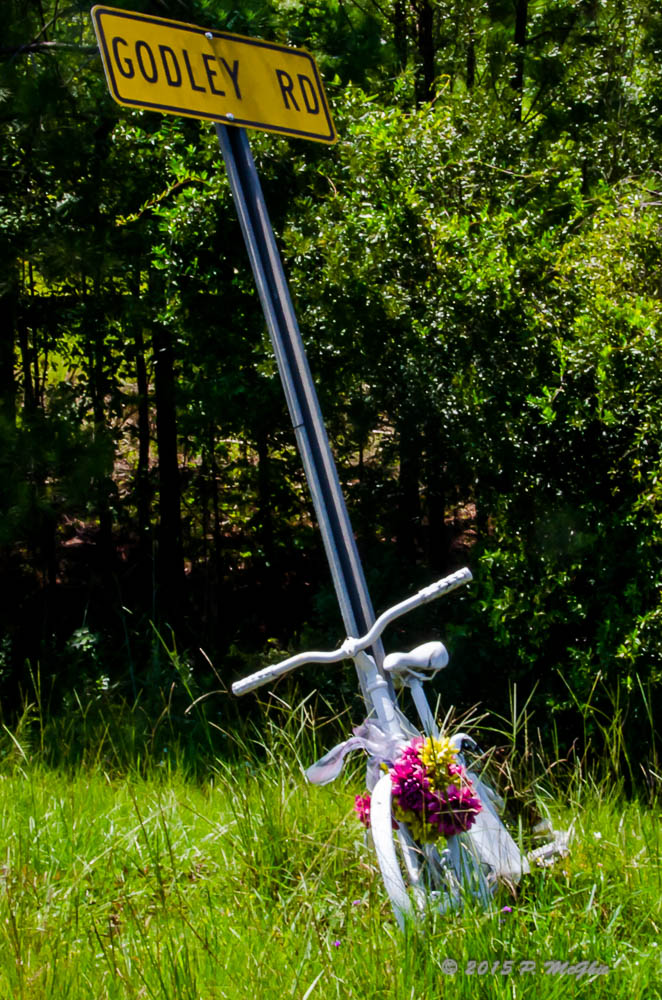 DSC_0243-Edit.jpg