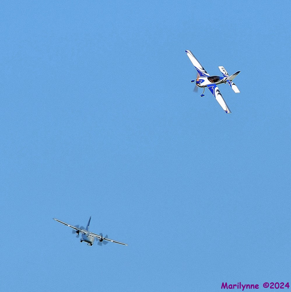 DSC_0243_001.JPG