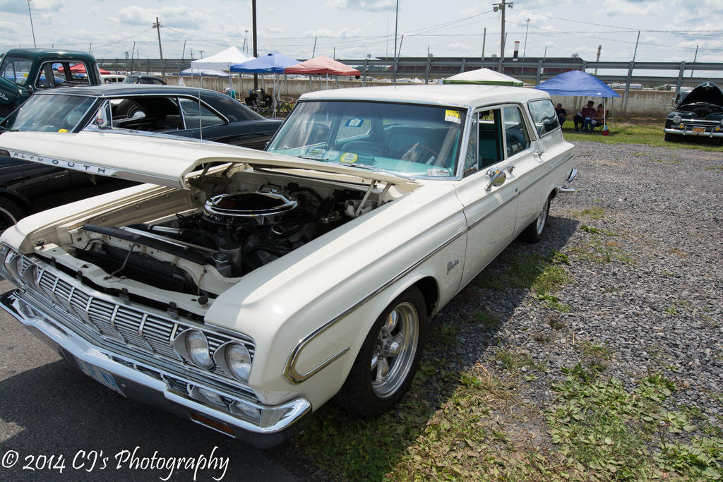 DSC_0245.jpg