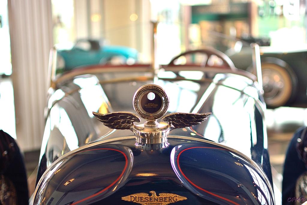 DSC_0245 nxd.jpg