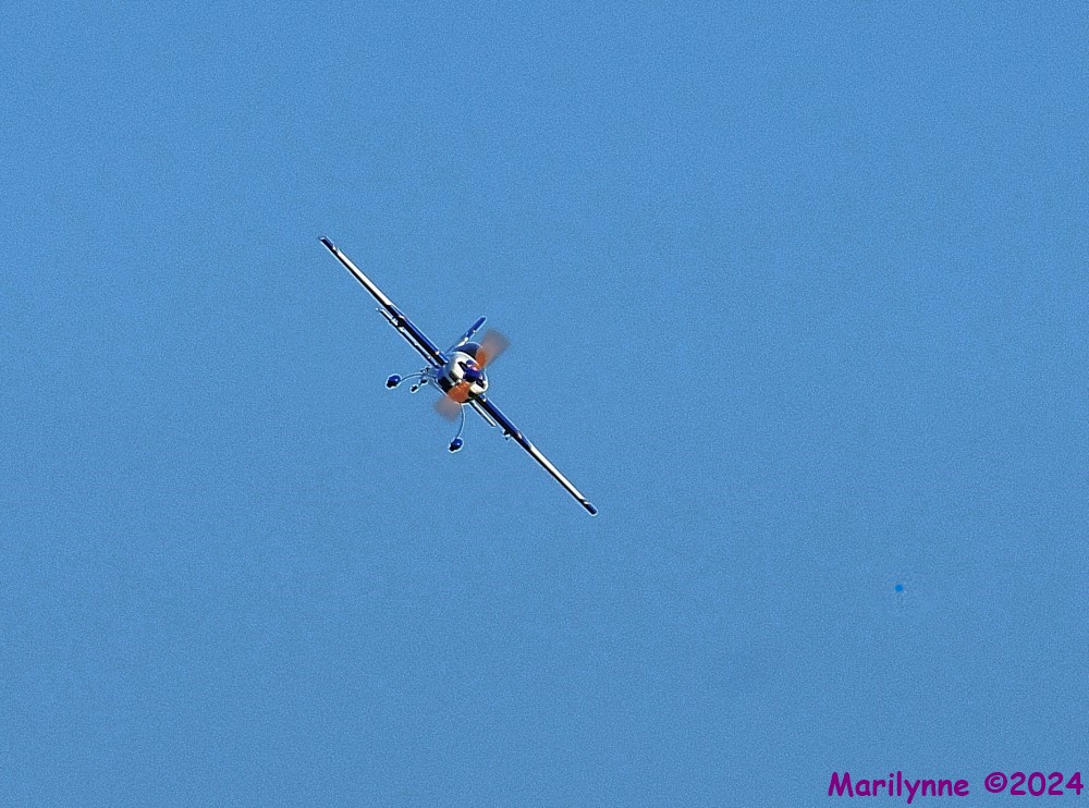 DSC_0245_001.JPG