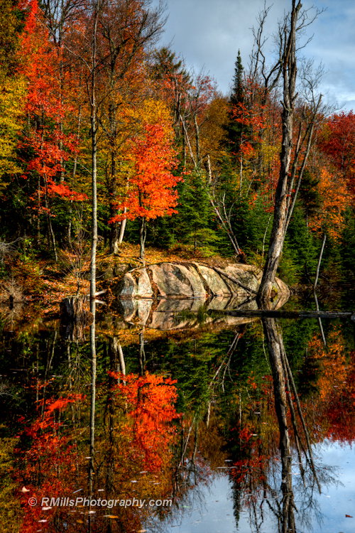 DSC_0245_3724_6_3725_7_3726_tonemapped-3.jpg