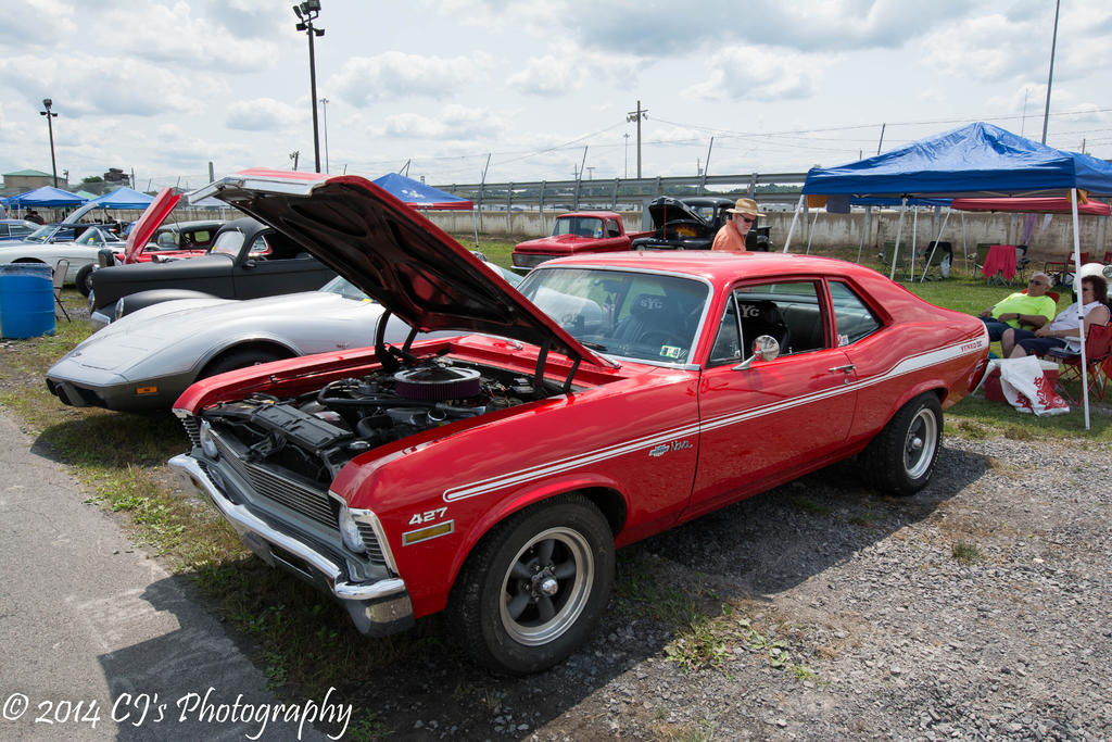 DSC_0246.jpg