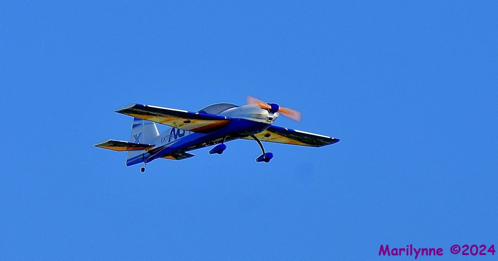 DSC_0246_001.JPG
