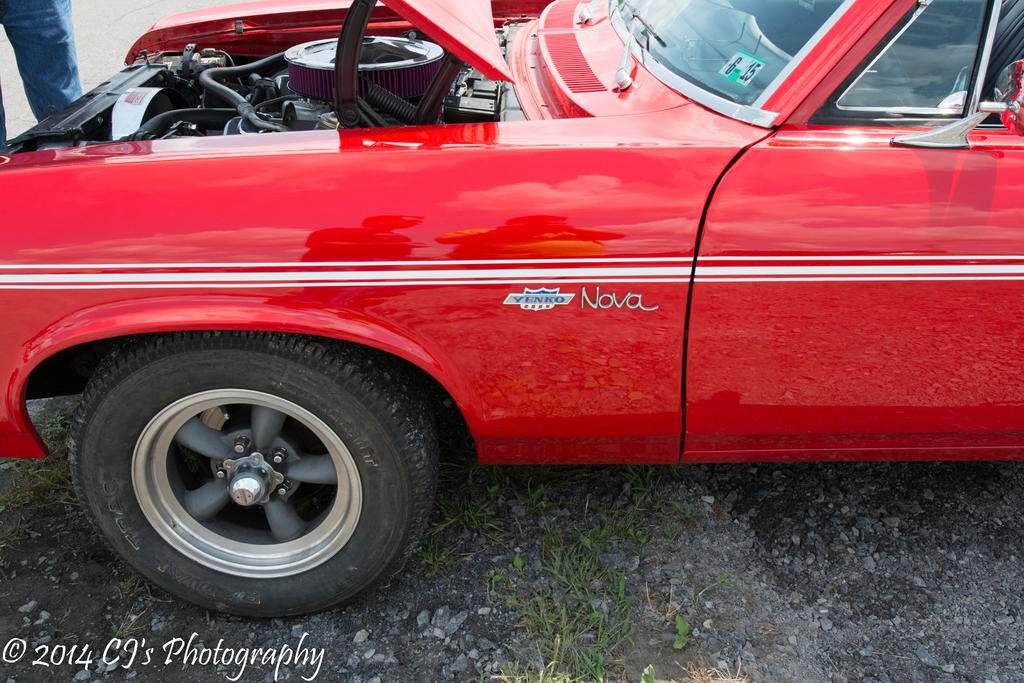 DSC_0247.jpg