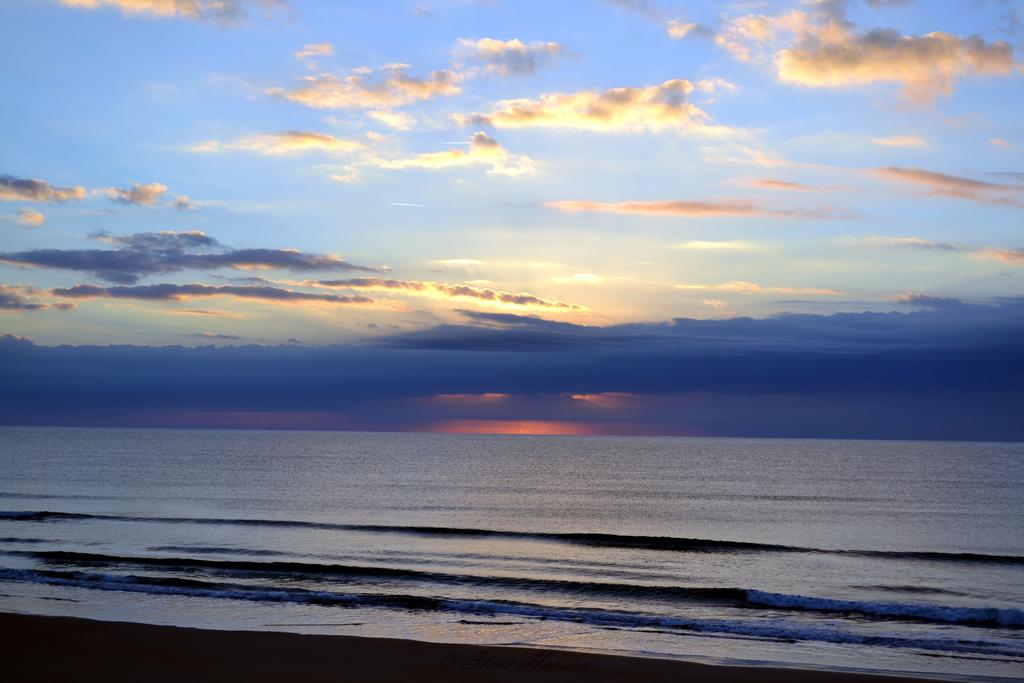 DSC_0247.jpg