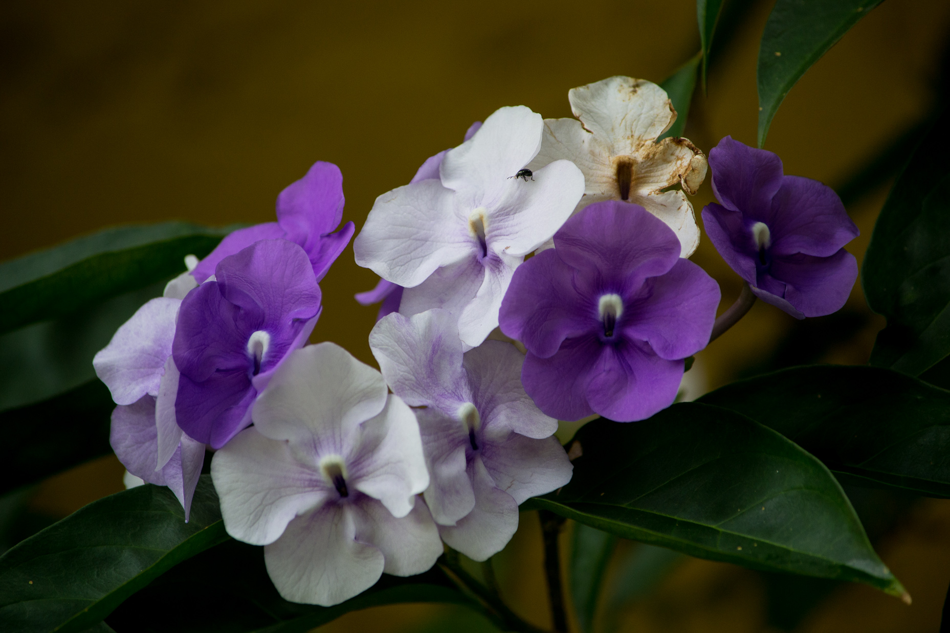 DSC_0248-2.jpg