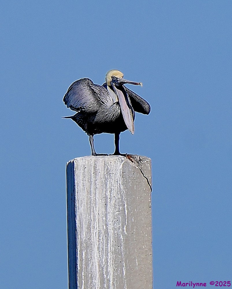 DSC_0248_001.JPG