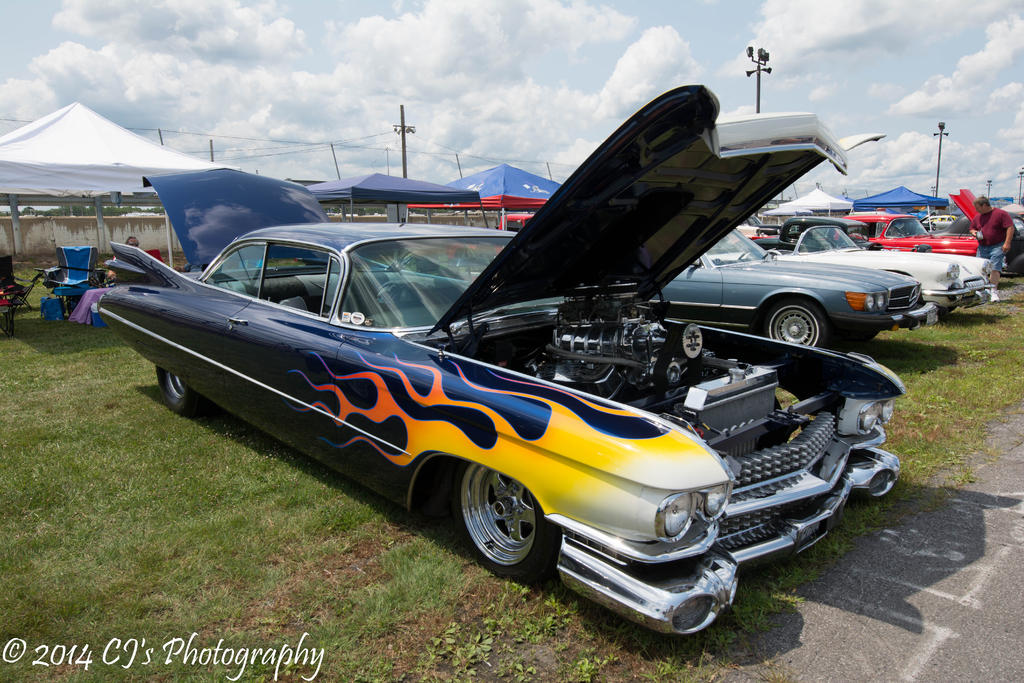 DSC_0249.jpg