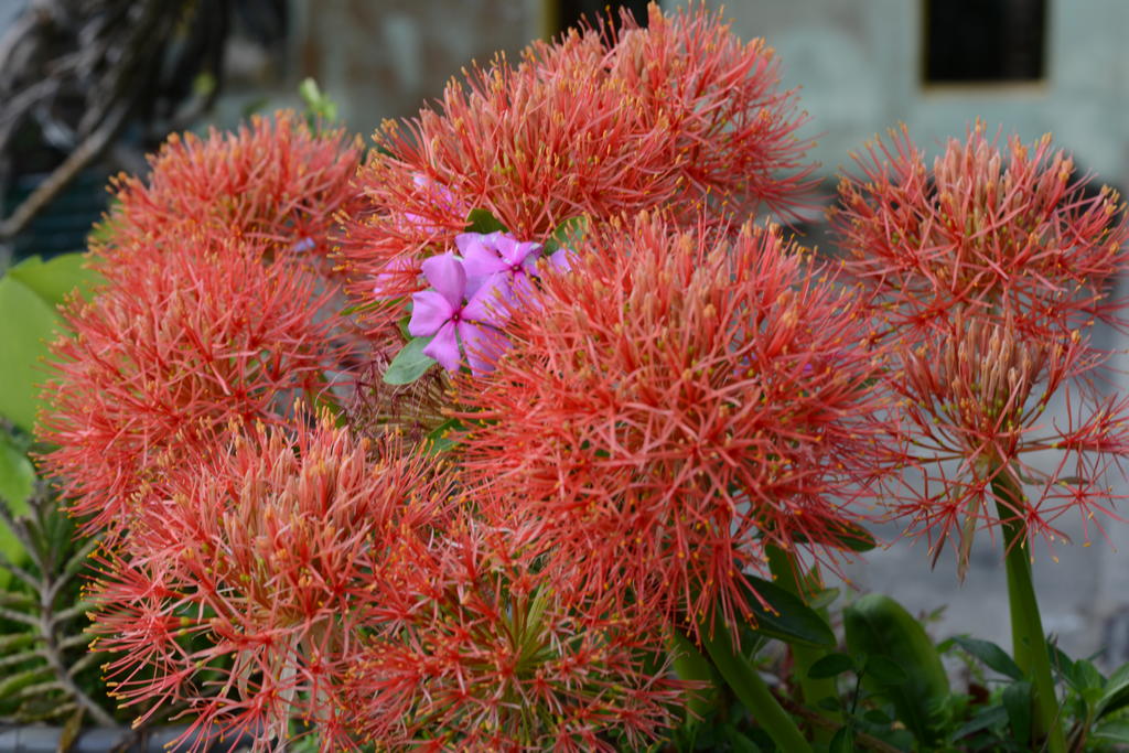 DSC_0249.jpg