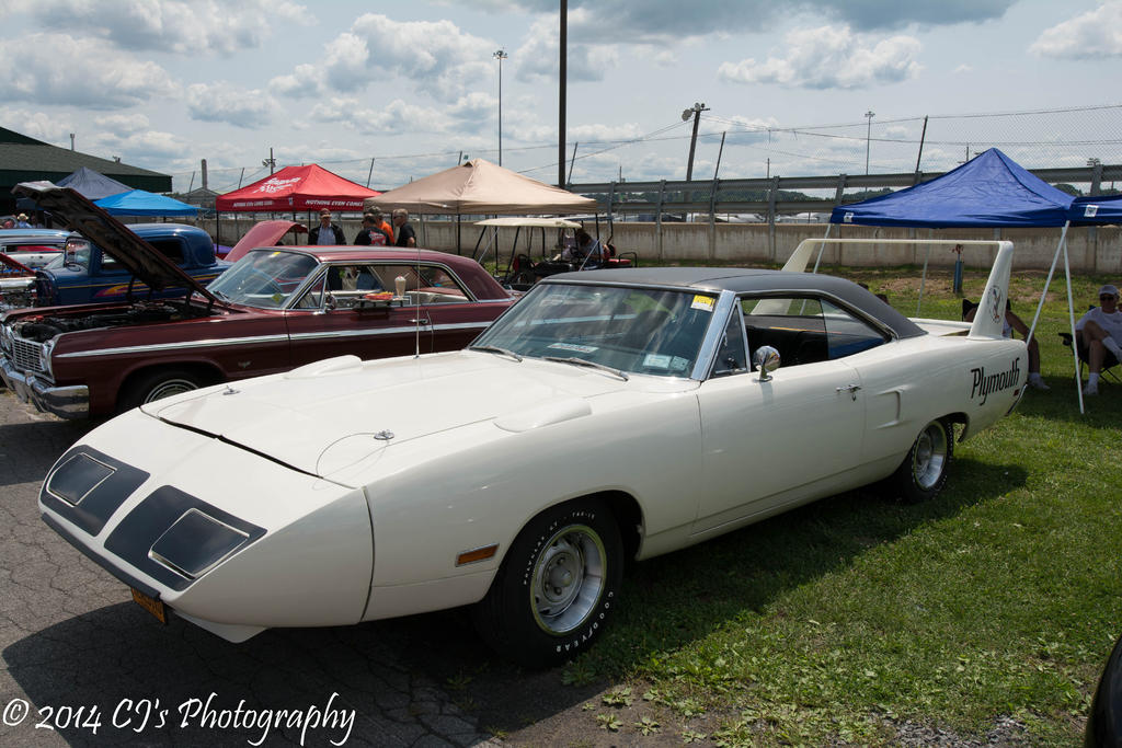 DSC_0250.jpg