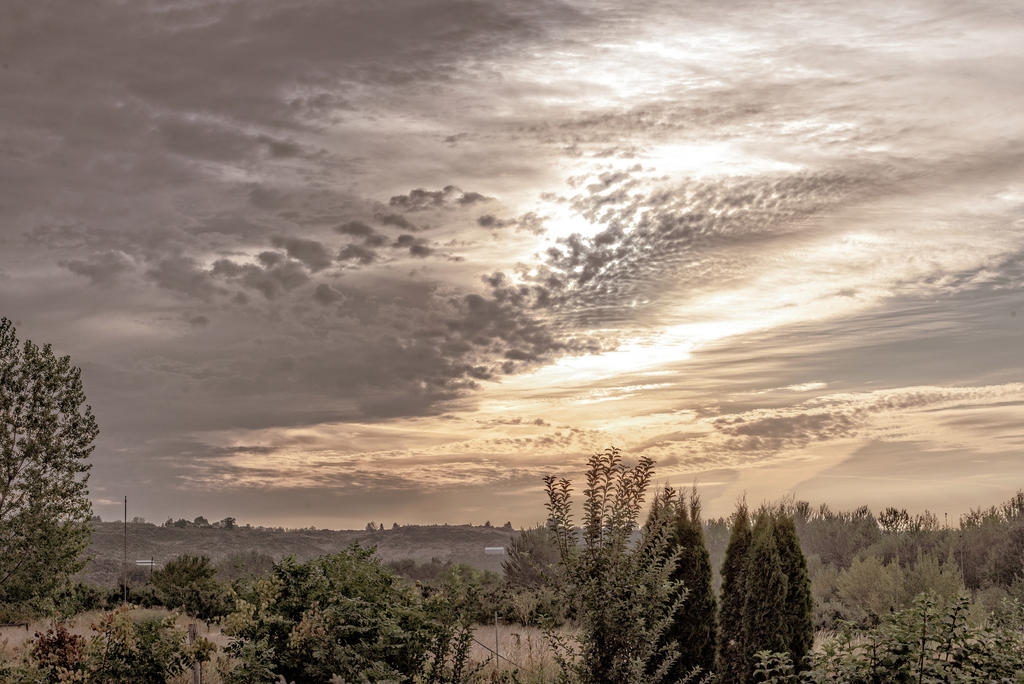DSC_0251-Edit.jpg