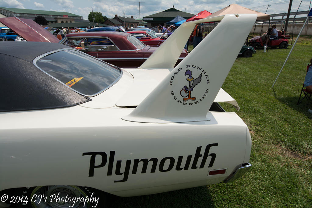 DSC_0252.jpg