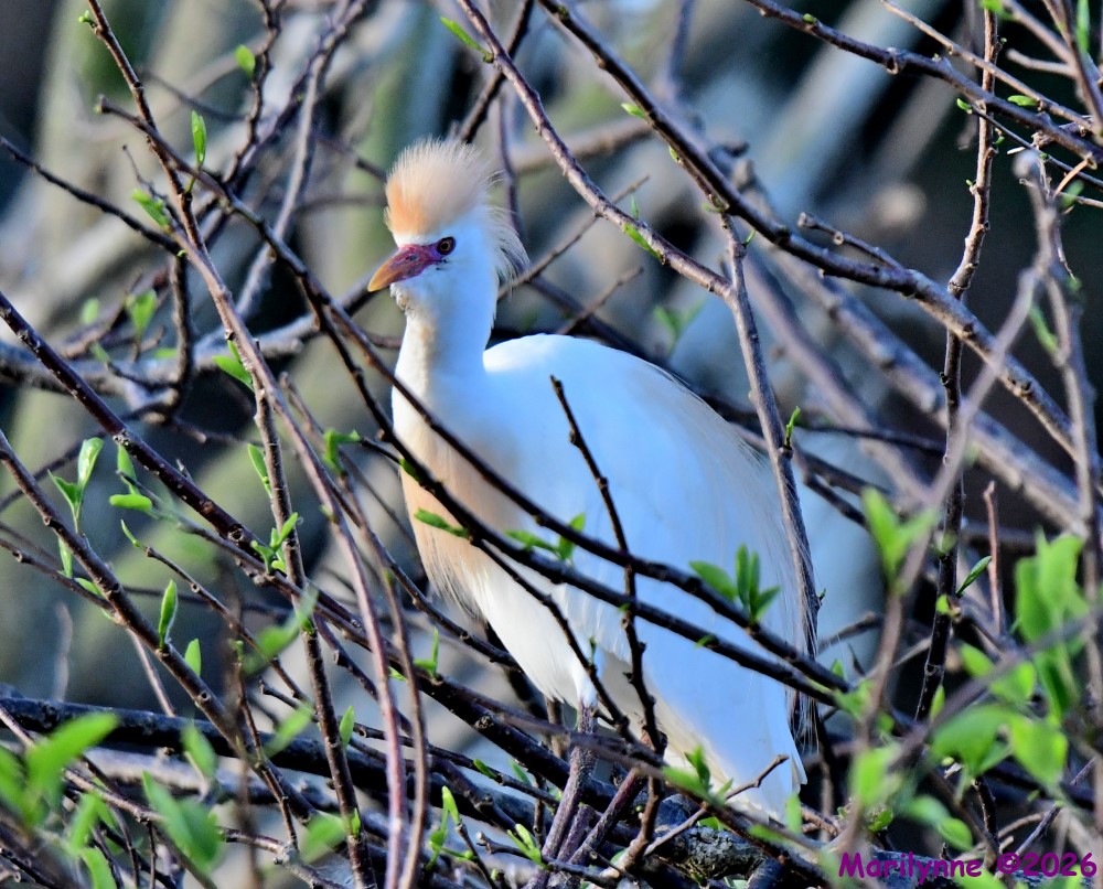 DSC_0253_001.JPG