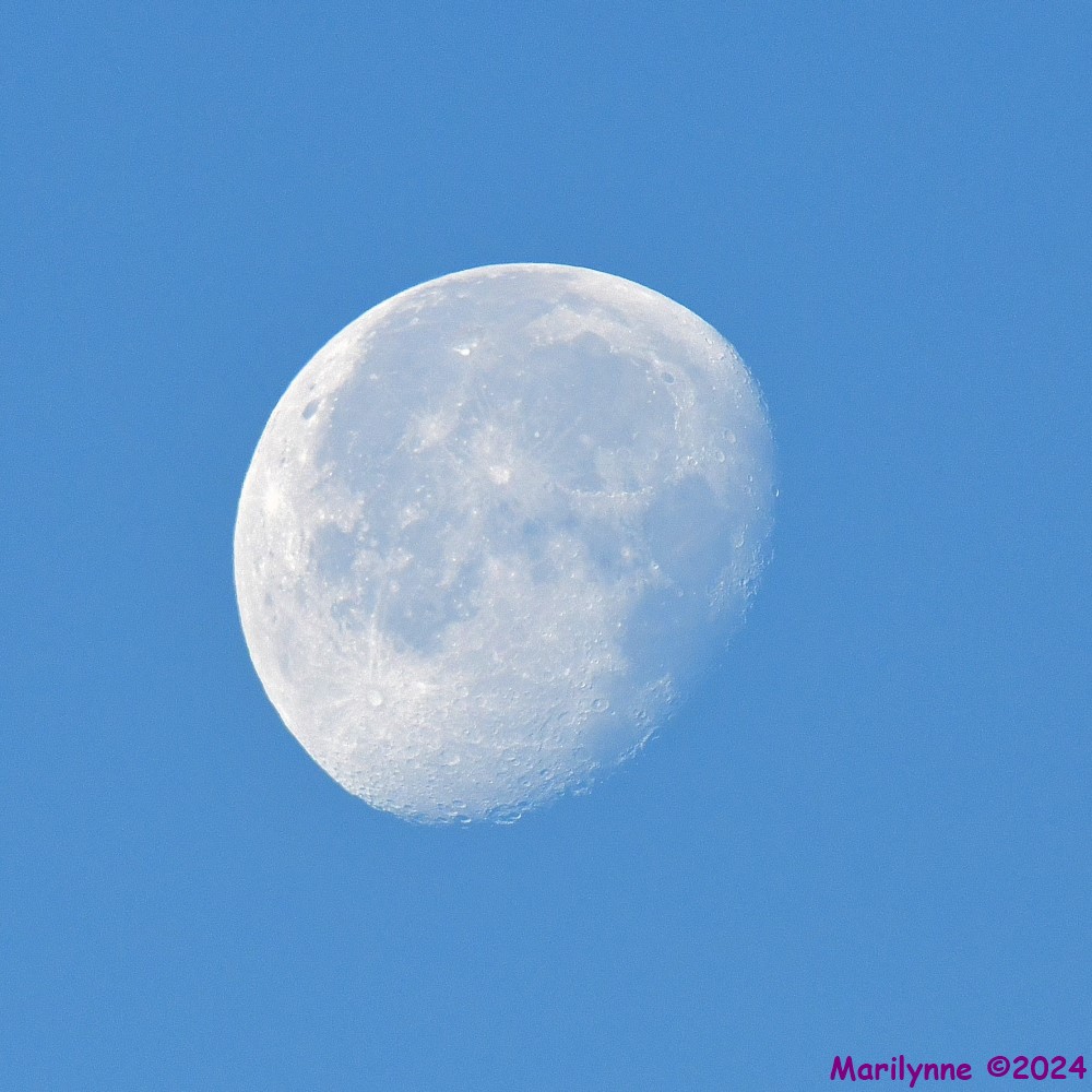 DSC_0255_001.JPG