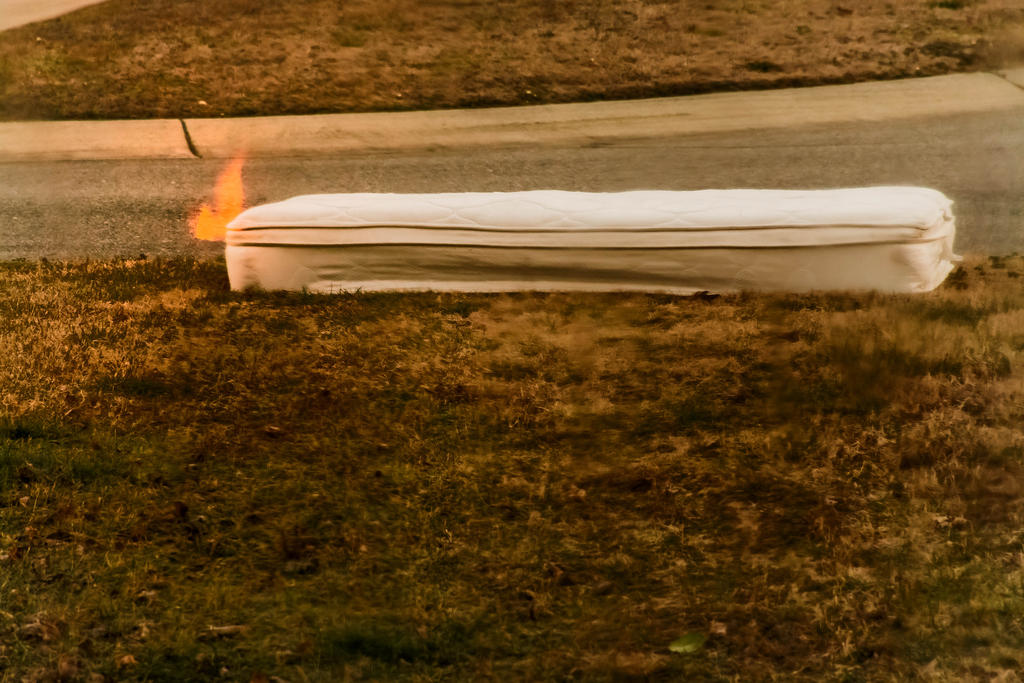 DSC_0256-Edit.jpg