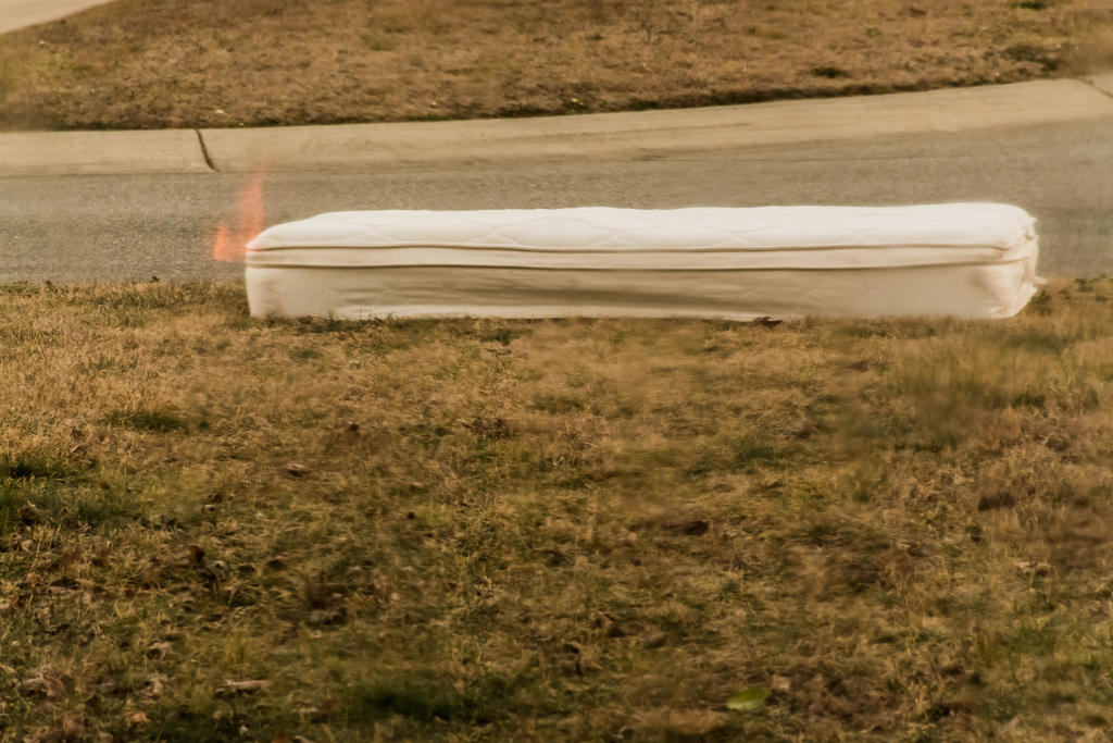 DSC_0256.jpg