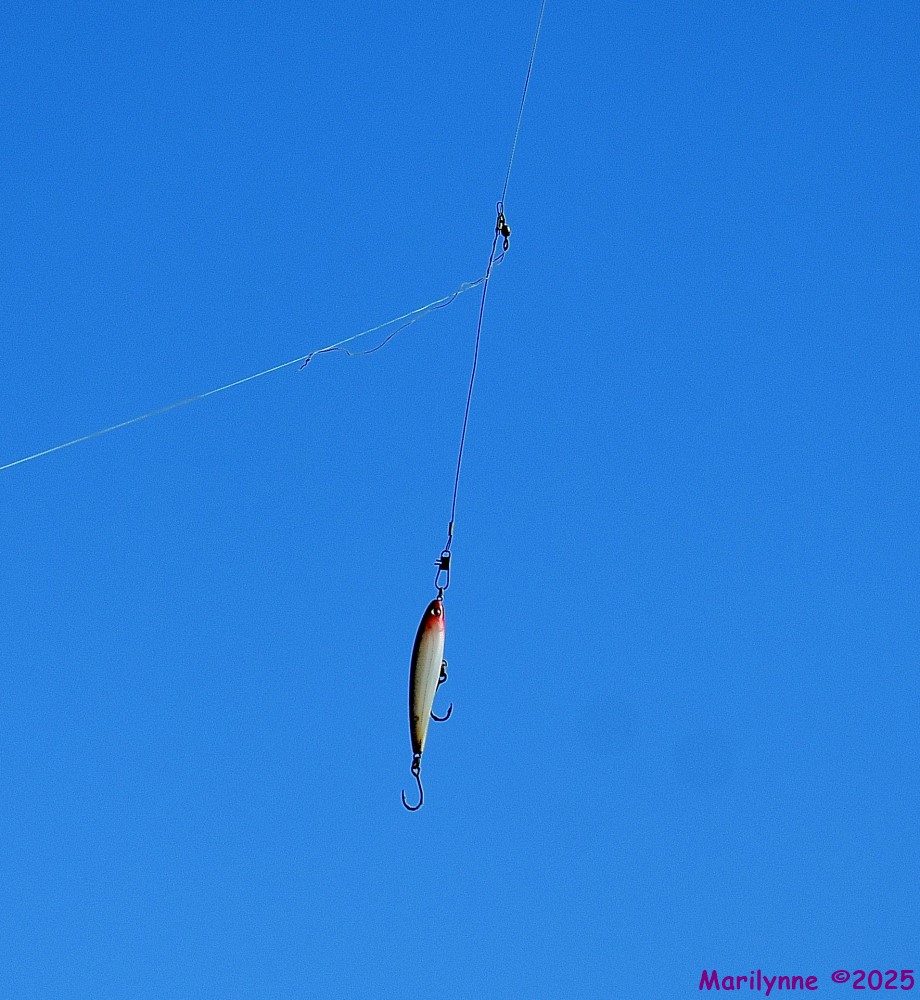 DSC_0257_001.JPG
