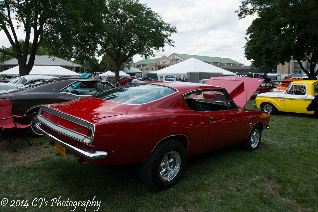 DSC_0259.jpg