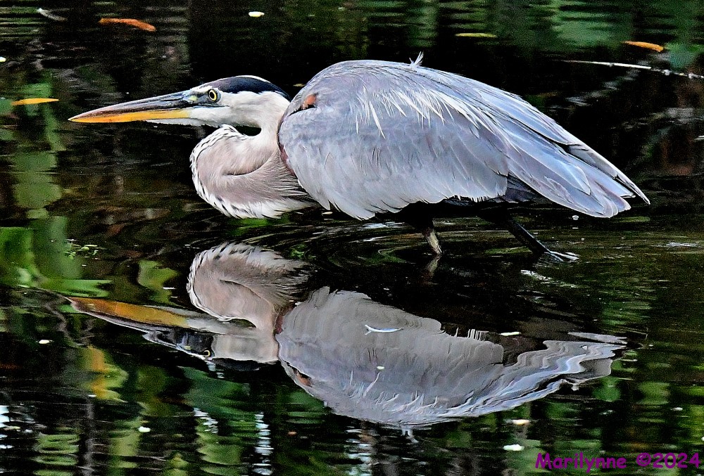 DSC_0259_001.JPG
