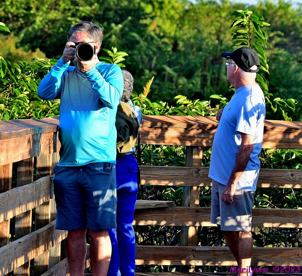 DSC_0260_001.JPG