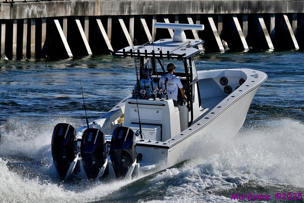 DSC_0260_001.JPG